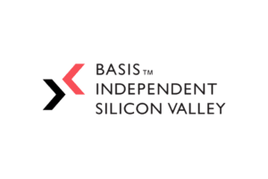 Basis Independent Silicon Logo