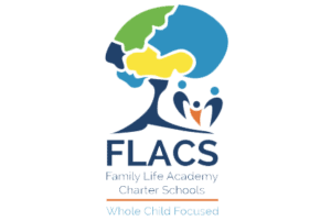 FLACS image transparent