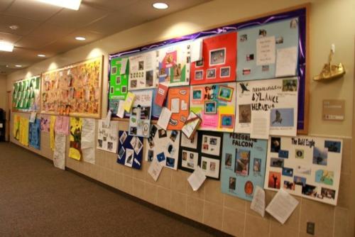 Student posters and reports on birds hanging in the hallway