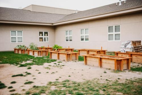 A garden with planter boxes behind the school