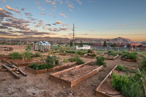 A student/community garden on the school property